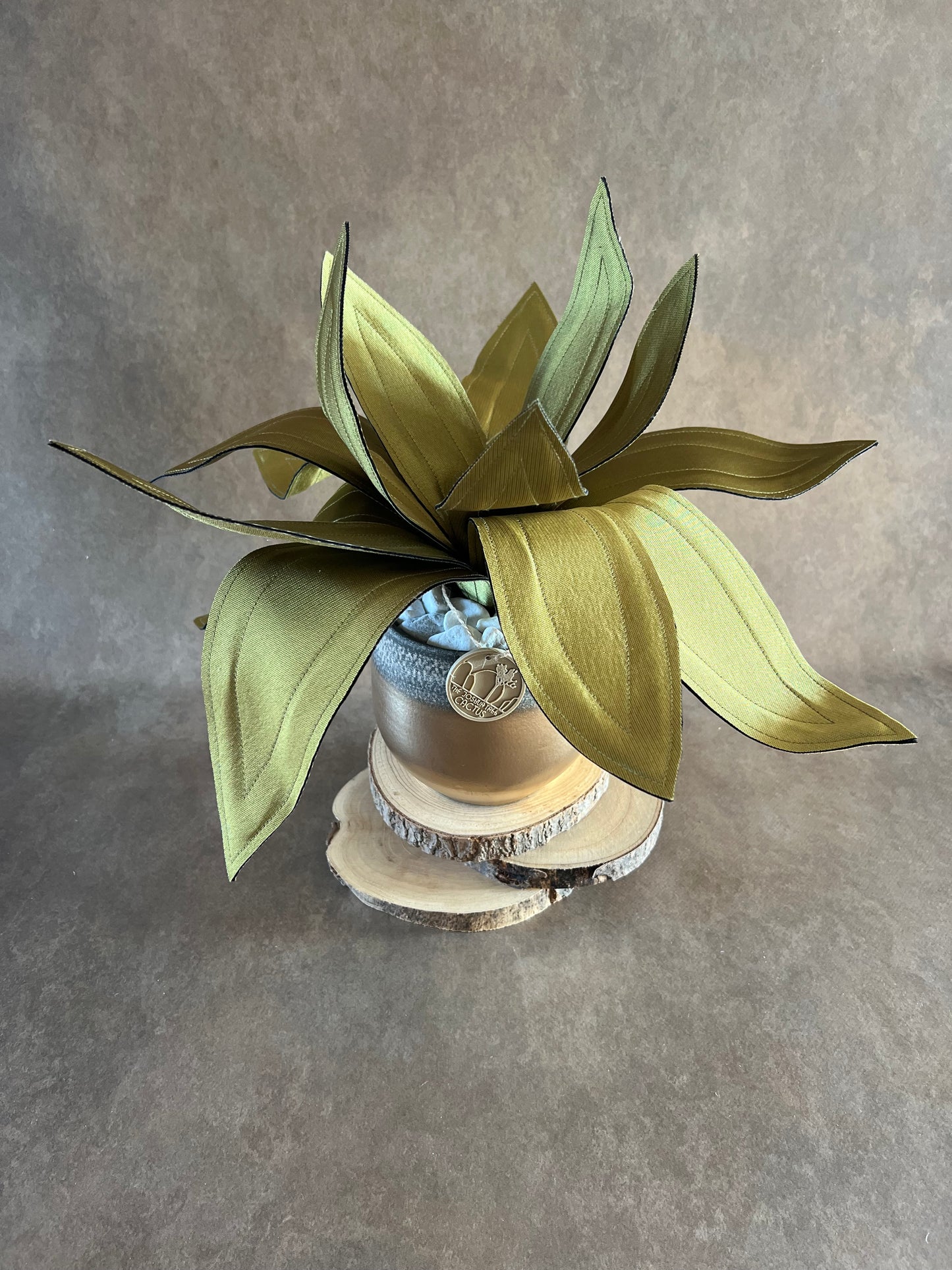 Agave
