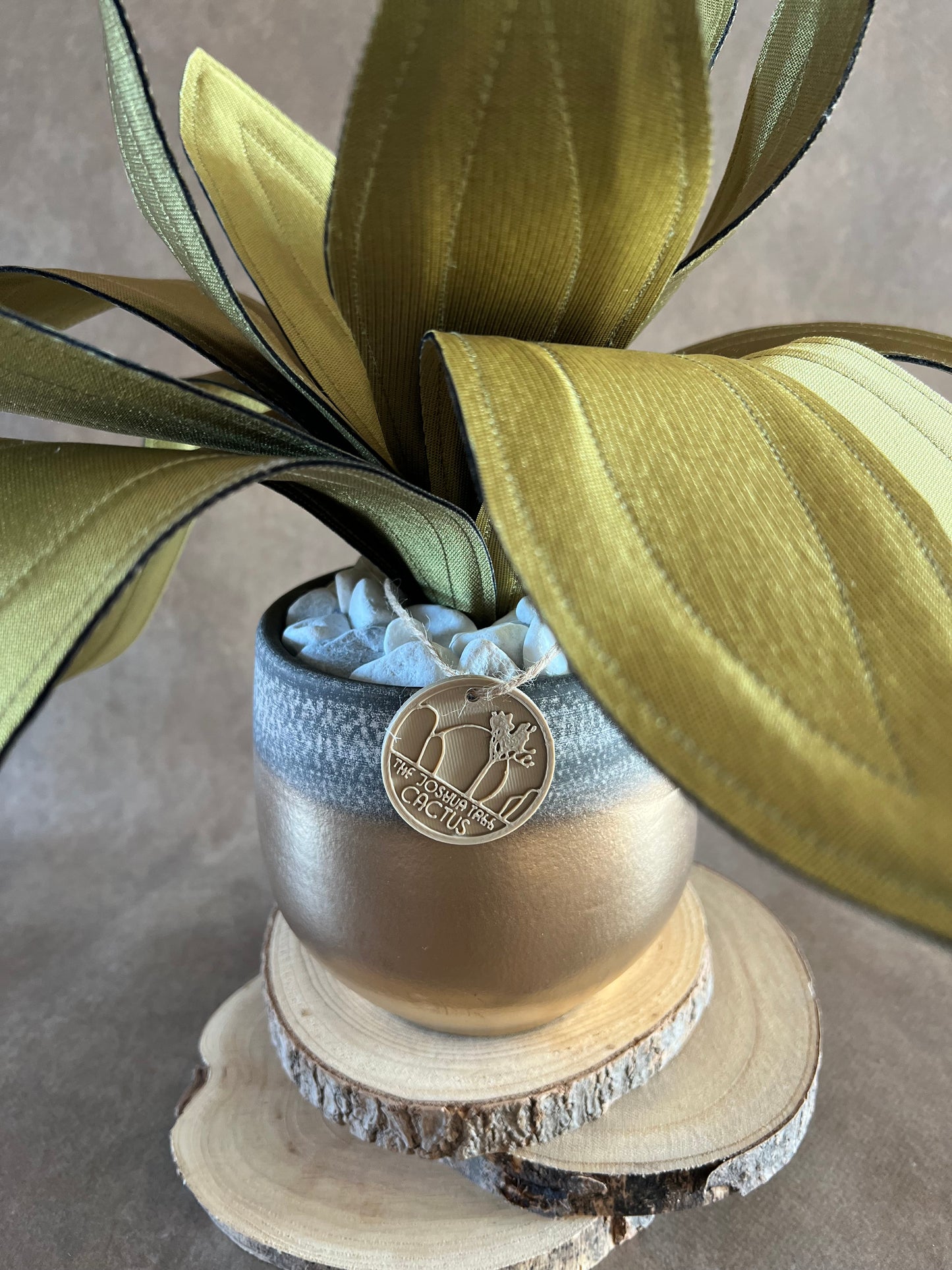 Agave