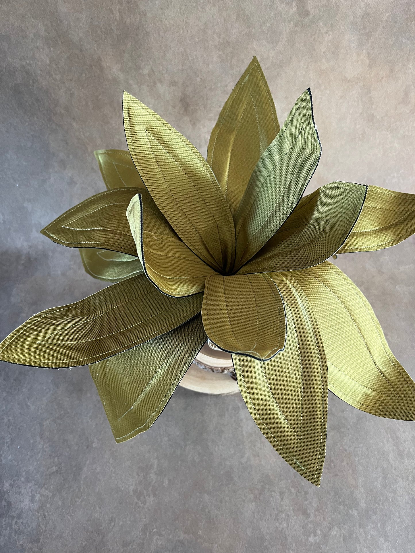 Agave