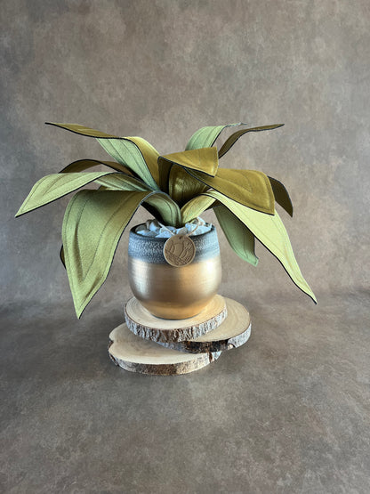 Agave