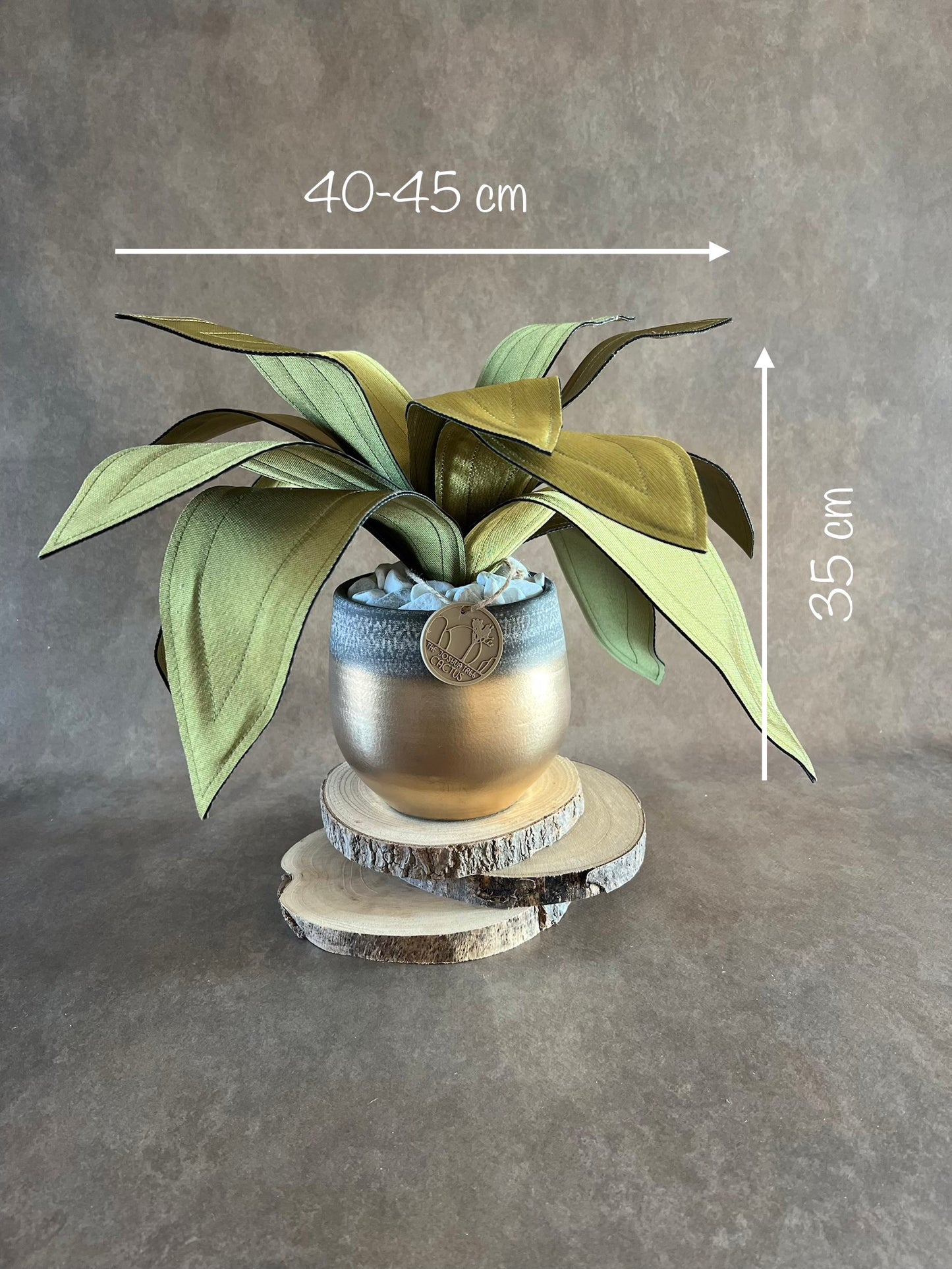 Agave
