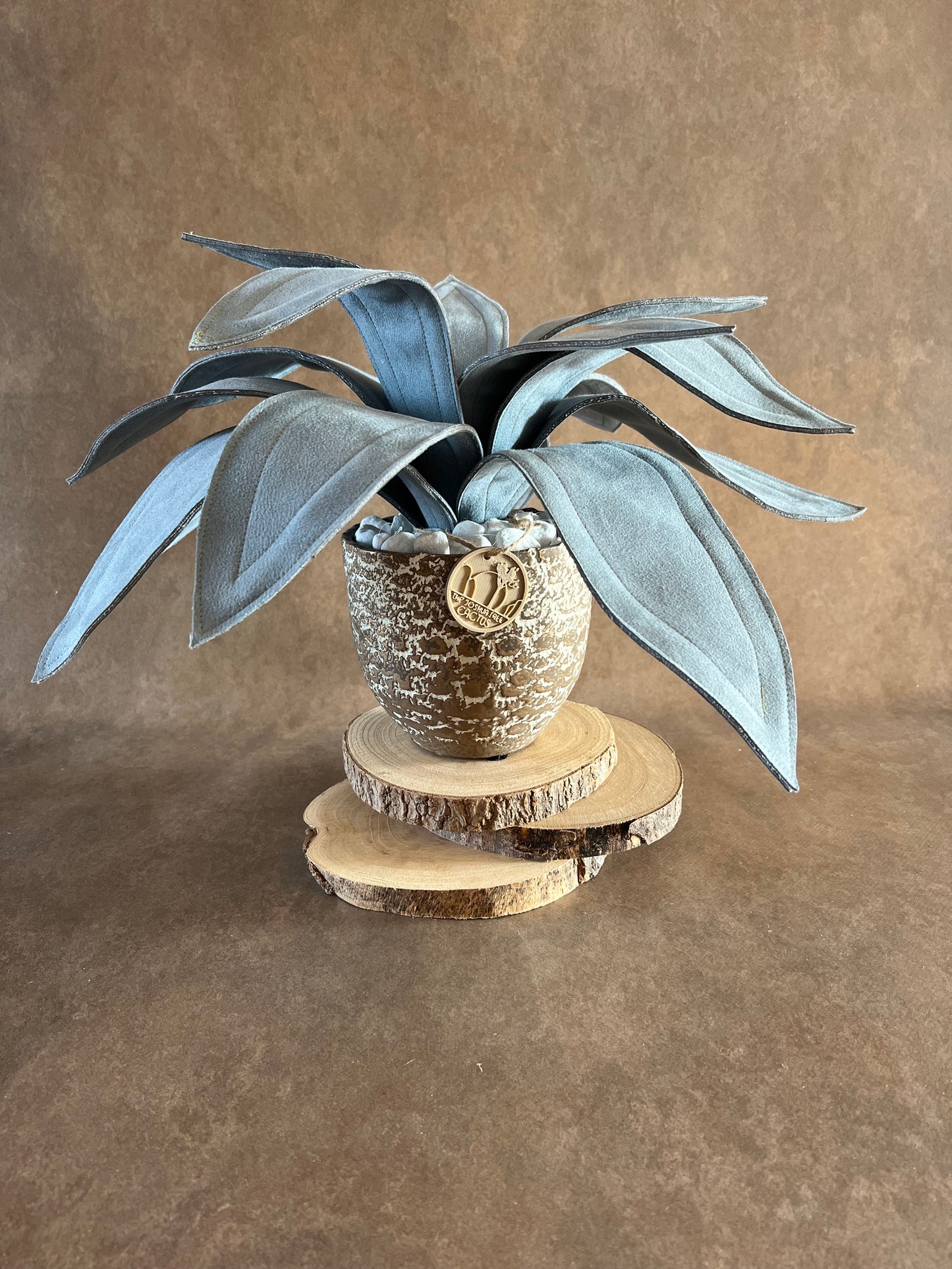 Agave