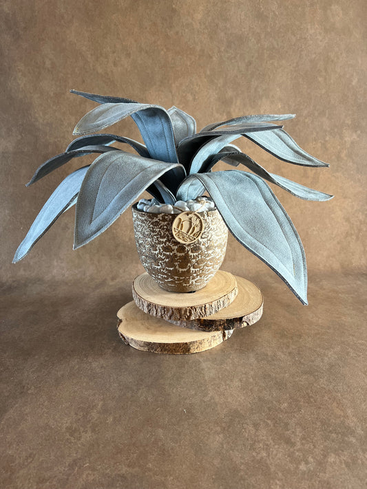 Agave in alcantara carta da zucchero