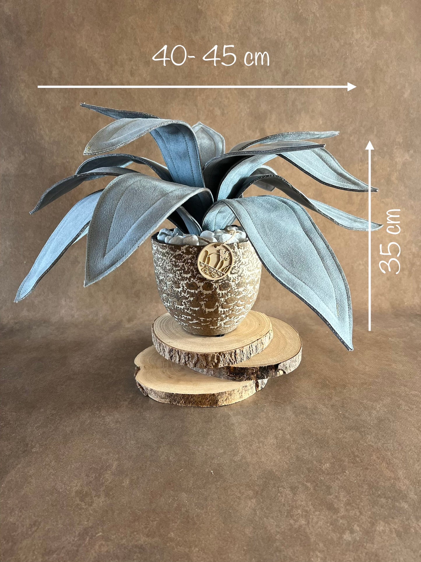 Agave
