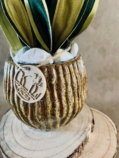 Sanseveria vaso marrone