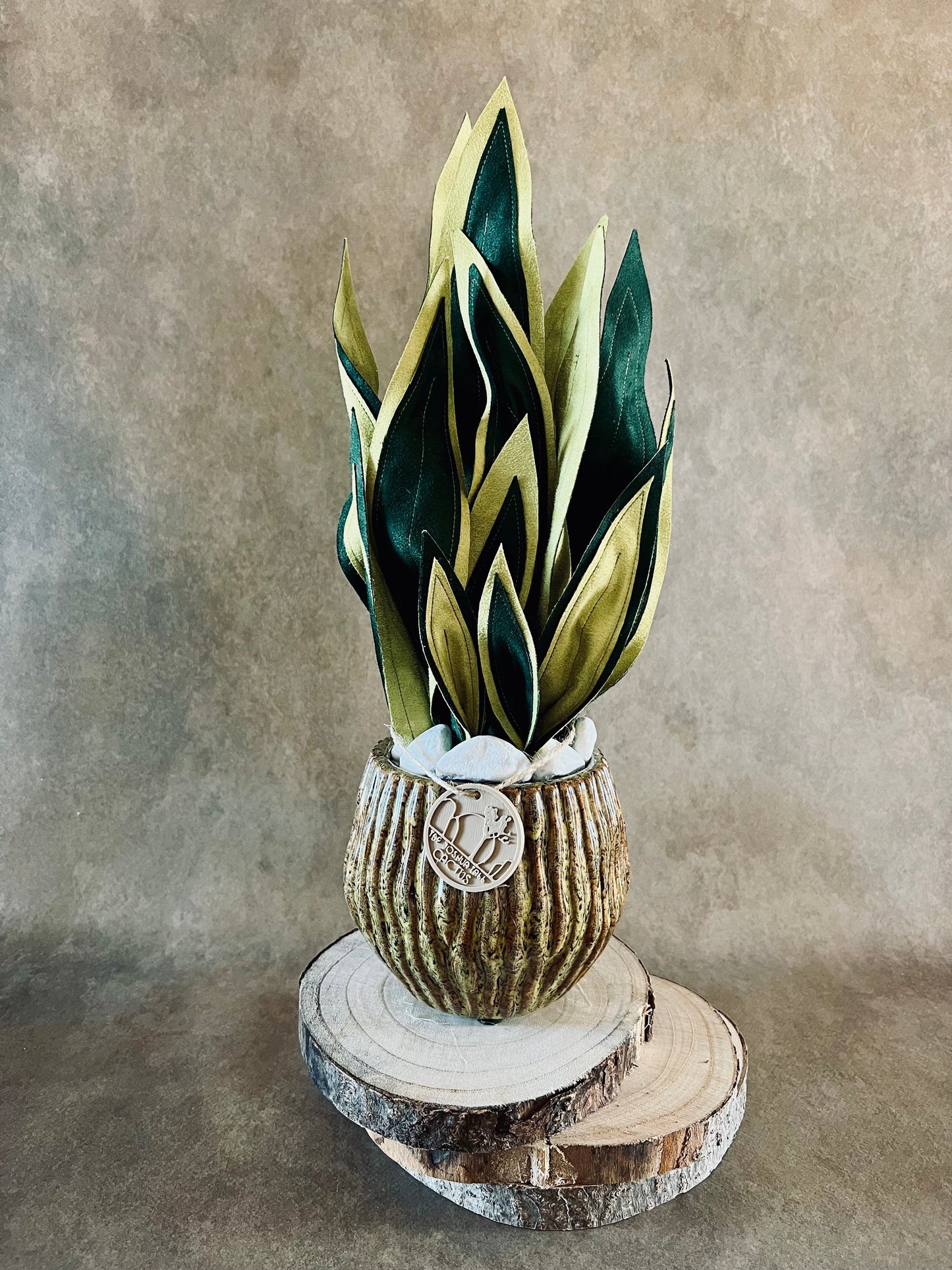 Sanseveria vaso marrone