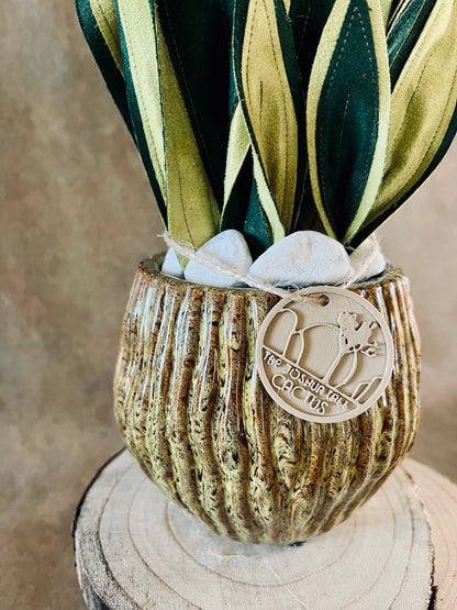Sanseveria vaso marrone