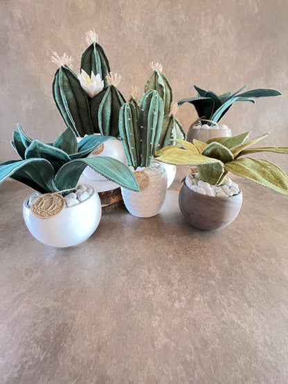 Composizione 3 cactus in cotone verde chiaro, vaso in ceramica bianca opaca  h circa 31cm - fiore staccabile.