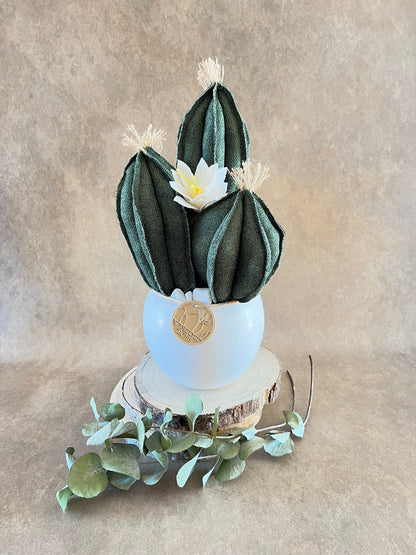 Composizione 3 cactus in cotone verde scuro, vaso in ceramica bianca opaca  h circa 31cm - fiore staccabile.