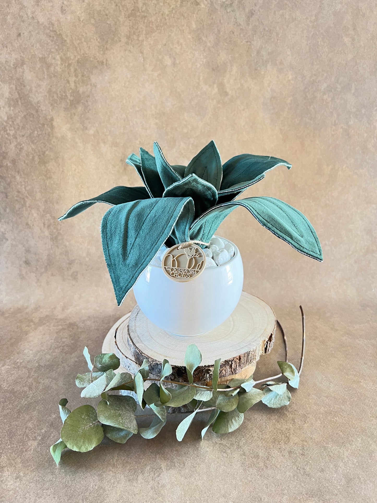 Agave mini in velluto verde scuro