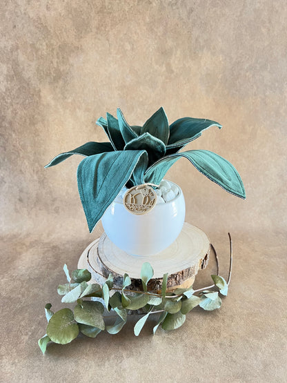 Agave mini in velluto verde scuro