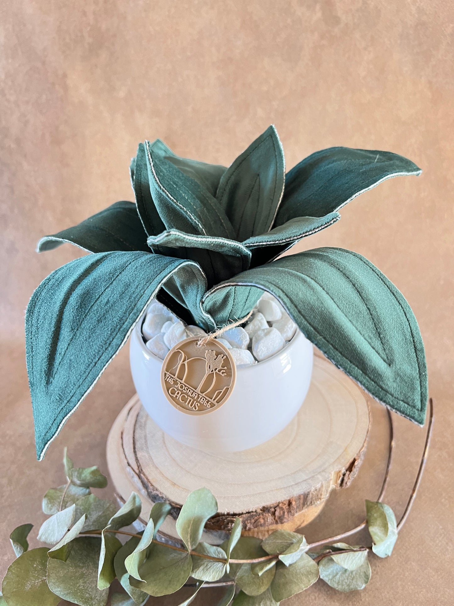 Agave mini in velluto verde scuro