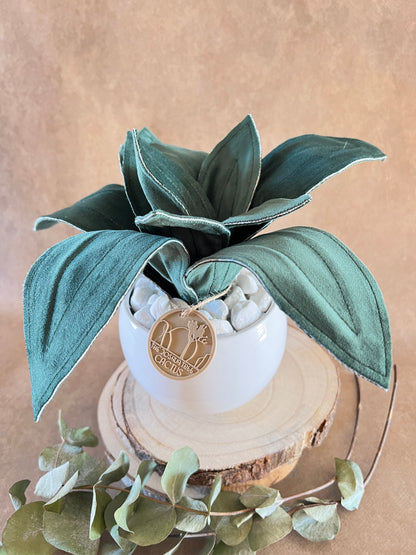 Agave mini in velluto verde scuro