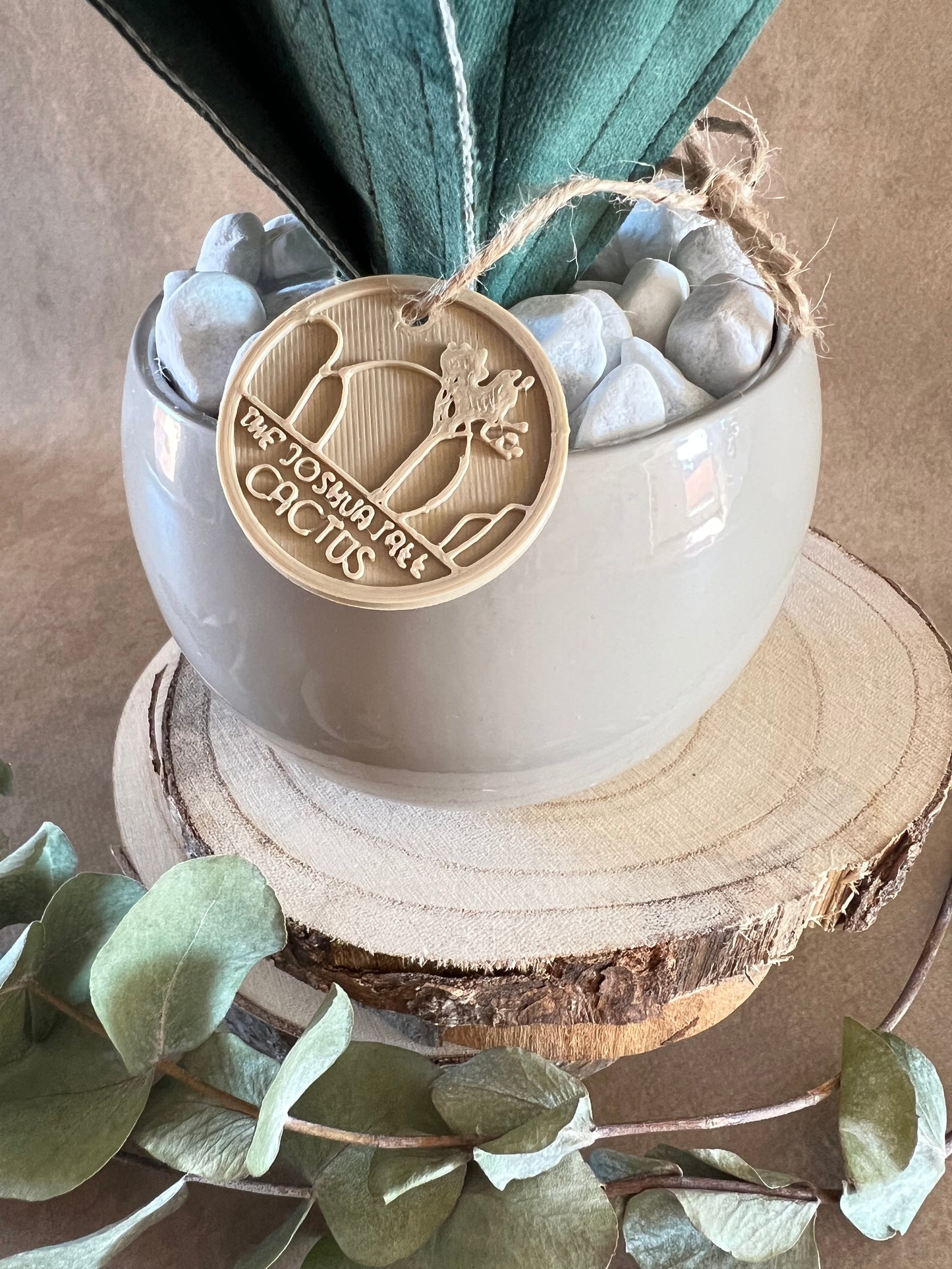 Agave