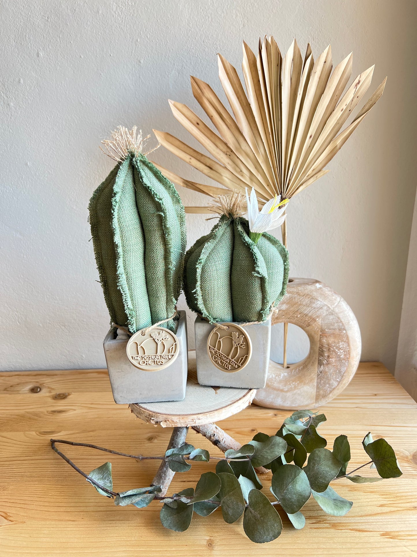 Coppia di mini Cactus in cotone verde, vaso cubo in cemento, h circa 17 e 23  cm - fiore staccabile.