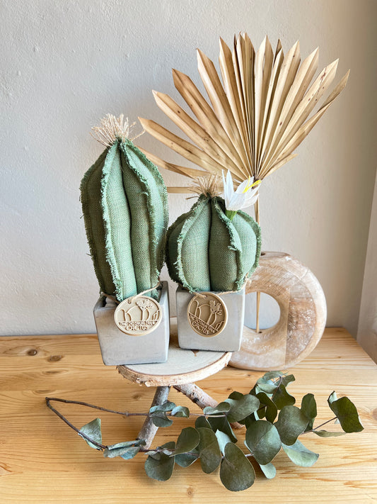 Coppia di mini Cactus in cotone verde, vaso cubo in cemento, h circa 17 e 23  cm - fiore staccabile.