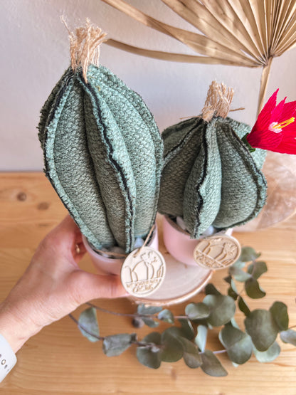 Coppia di mini Cactus in cotone verde scuro mélange, vaso in ceramica rosa pallido, h circa 17 e 23  cm - fiore staccabile