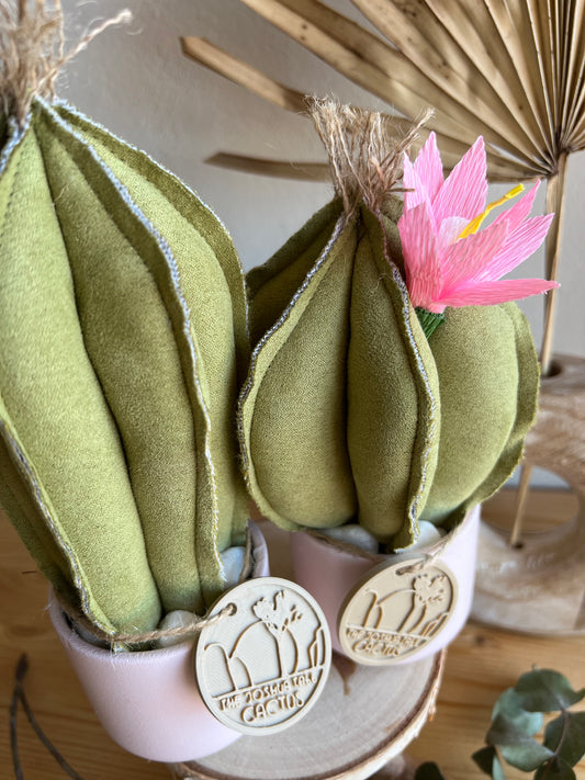 Coppia di mini Cactus in alcantara verde chiaro, vaso in ceramica rosa pallido, h circa 17 e 23  cm - fiore staccabile