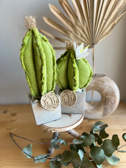 Coppia di mini Cactus in cotone verde chiaro, vaso cubo in cemento, h circa 17 e 23  cm - fiore staccabile.