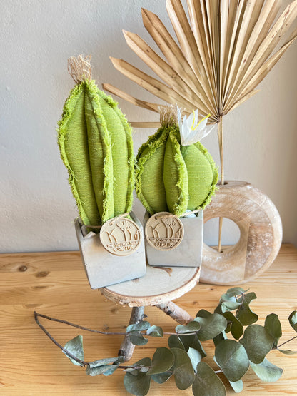 Coppia di mini Cactus in cotone verde chiaro, vaso cubo in cemento, h circa 17 e 23  cm - fiore staccabile.