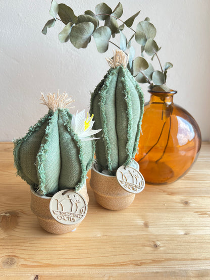 Coppia di mini Cactus in cotone verde chiaro, vaso in ceramica beige polveroso , h circa 18 e 22  cm - fiore staccabile