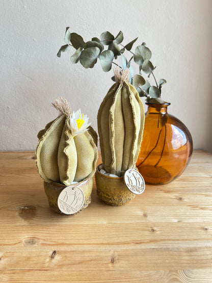 Coppia di mini Cactus in velluto verde chiarissimo, vaso in ceramica senape disegno astratto , h circa 18 e 22  cm - fiore staccabile