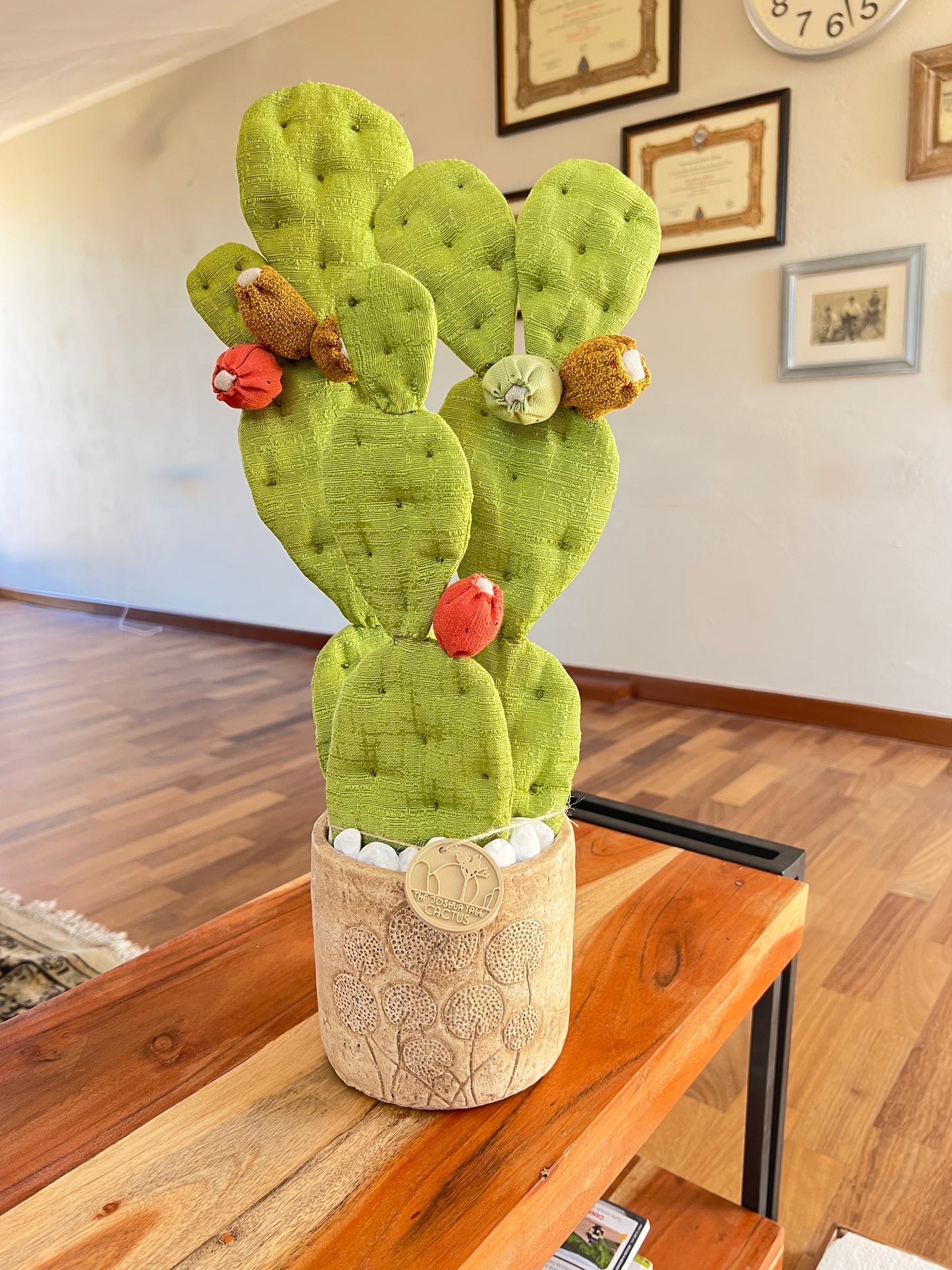 Opuntia verde chiaro vaso in ceramica opaca beige con motivo "soffioni" - in pronta consegna