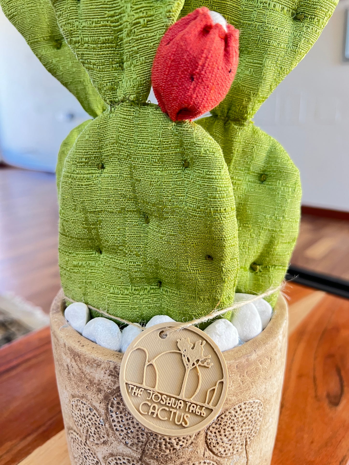 Opuntia verde chiaro vaso in ceramica opaca beige con motivo "soffioni" - in pronta consegna