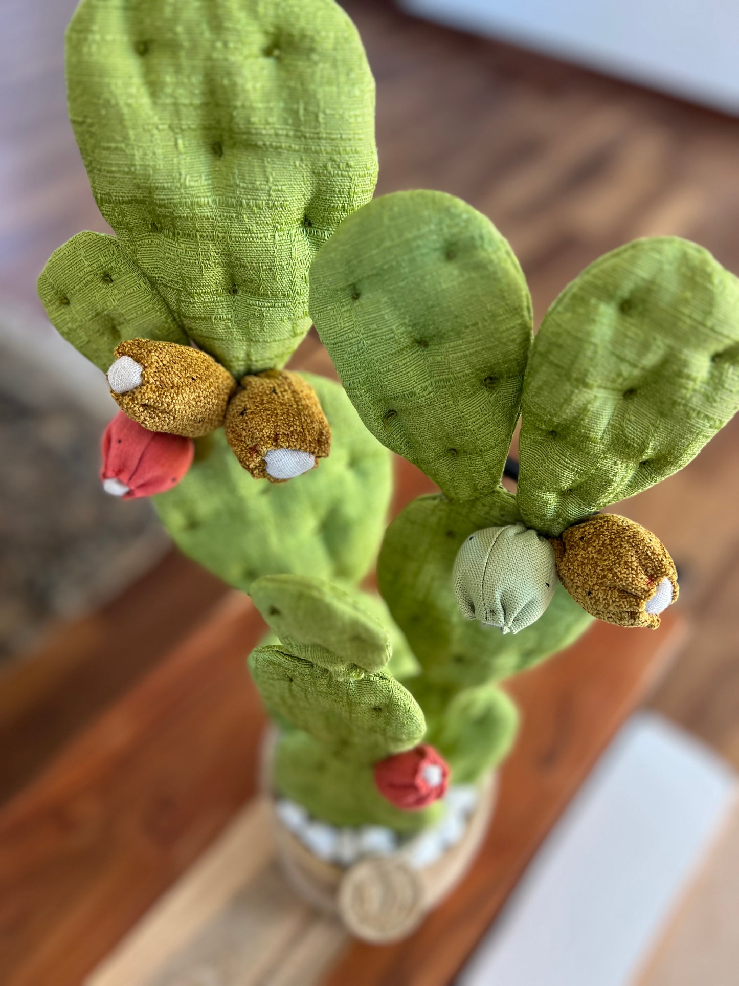 Opuntia verde chiaro vaso in ceramica opaca beige con motivo "soffioni" - in pronta consegna
