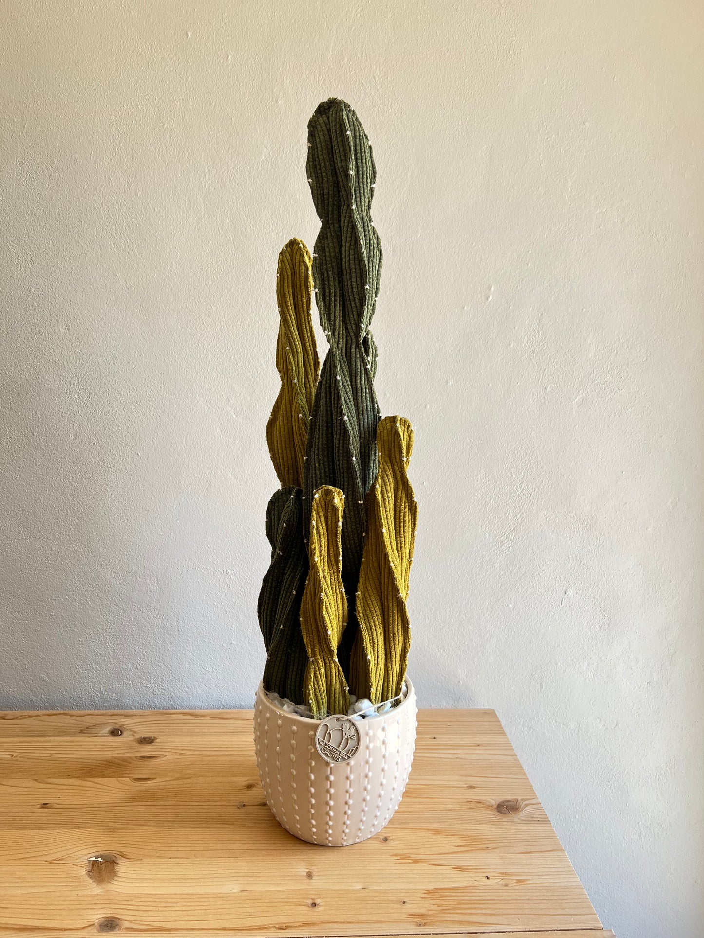 Composizione Cereus h 72 cm - in pronta consegna - spedizione gratuita
