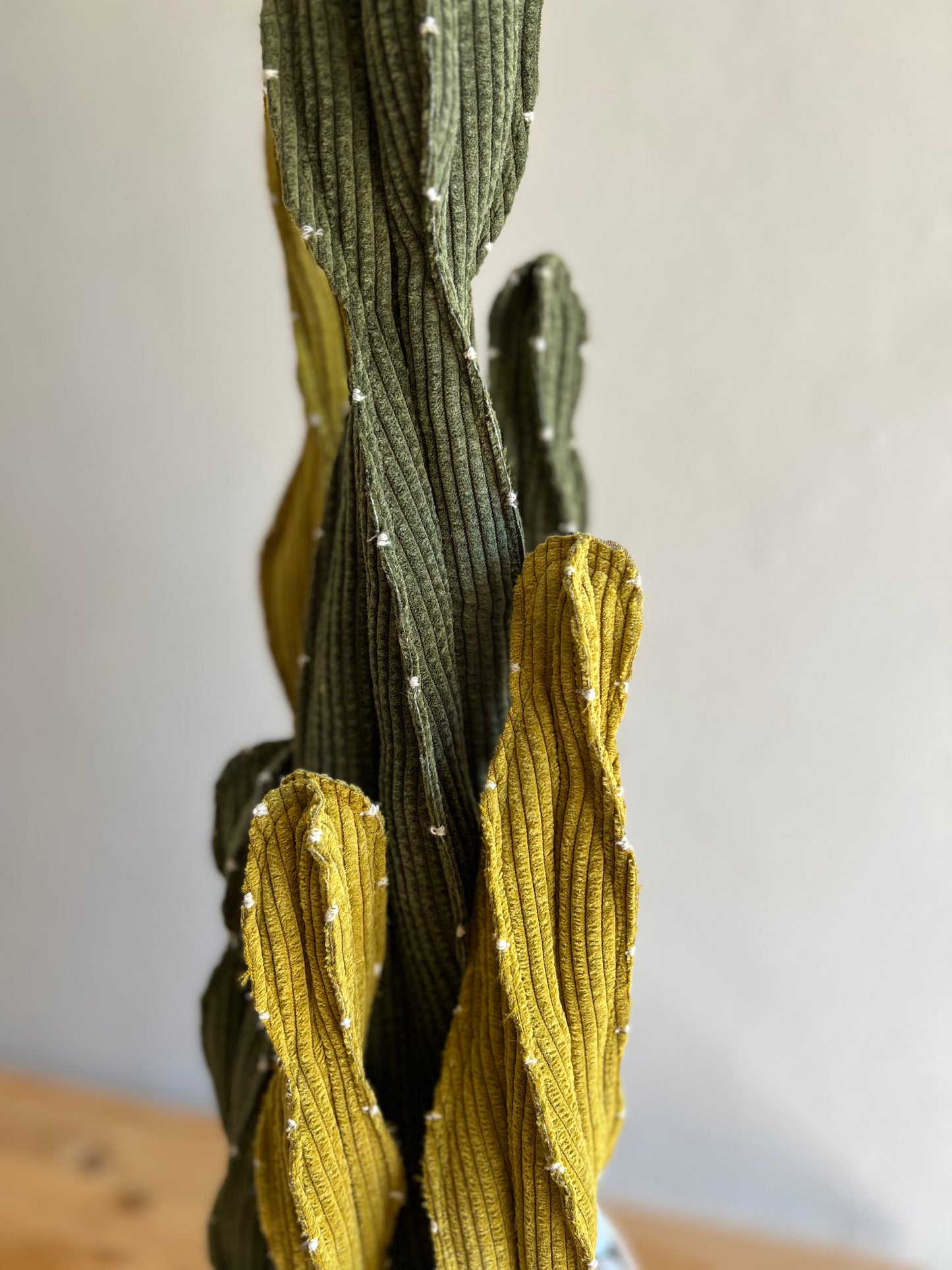 Composizione Cereus h 72 cm - in pronta consegna - spedizione gratuita
