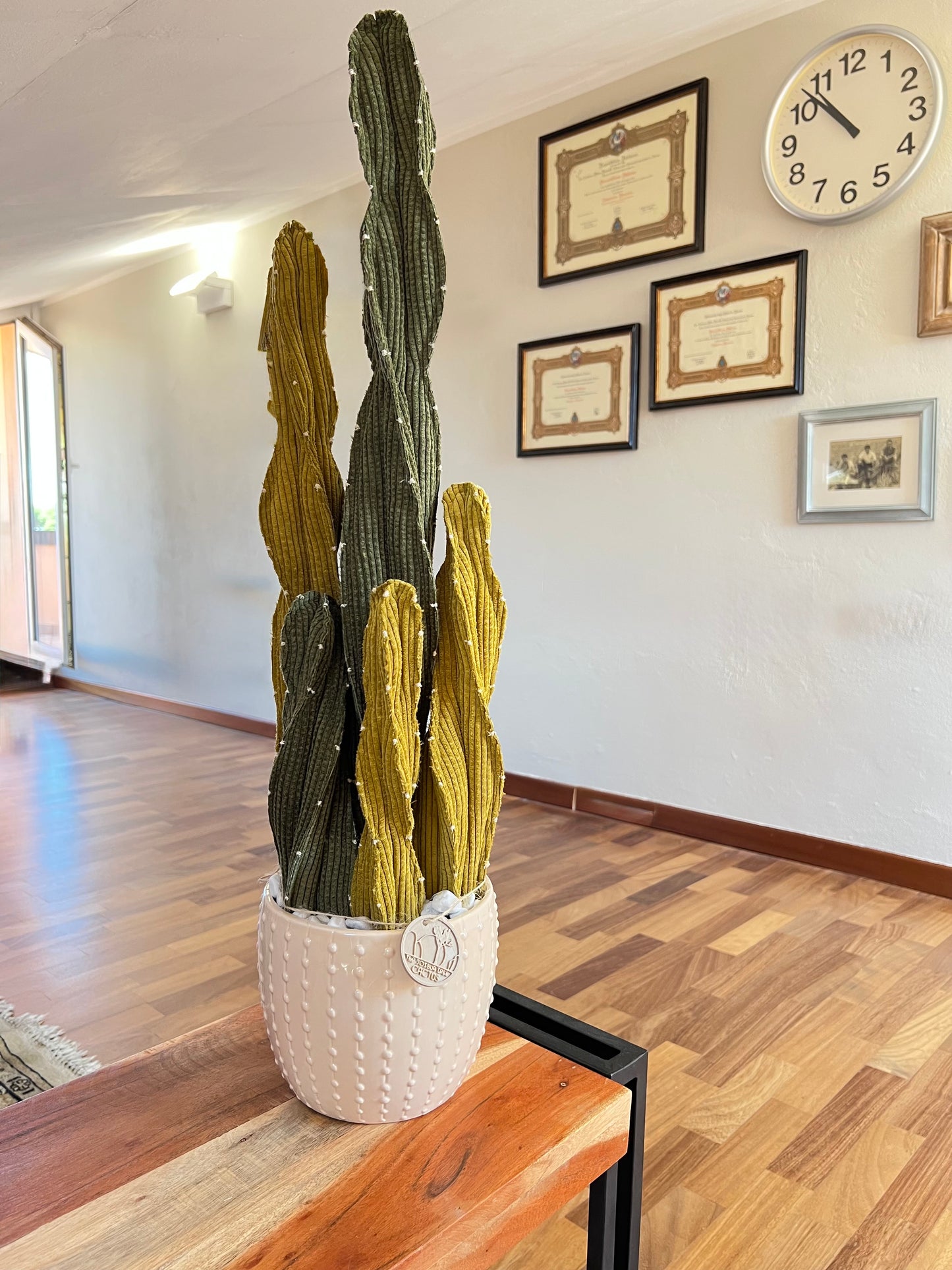 Composizione Cereus h 72 cm - in pronta consegna - spedizione gratuita
