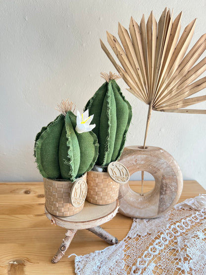 Coppia di mini Cactus in cotone verde scuri, vaso in ceramica beige a motivi quadrettati -  h circa 18 e 22  cm - fiore staccabile