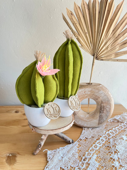 Coppia di mini Cactus in panno  verde chiaro, vaso in ceramica bianco liscio -  h circa 18 e 22  cm - fiore staccabile