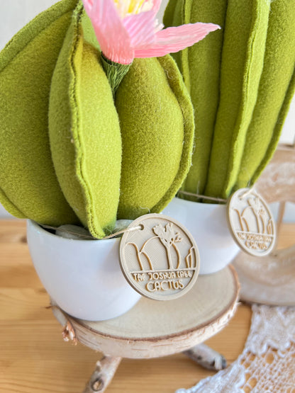 Coppia di mini Cactus in panno  verde chiaro, vaso in ceramica bianco liscio -  h circa 18 e 22  cm - fiore staccabile