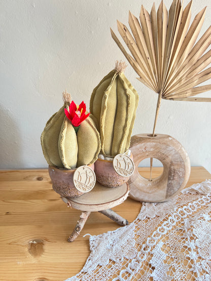 Coppia di mini Cactus in velluto verde chiarissimo, vaso in ceramica rosa  disegno astratto , h circa 18 e 22  cm - fiore staccabile