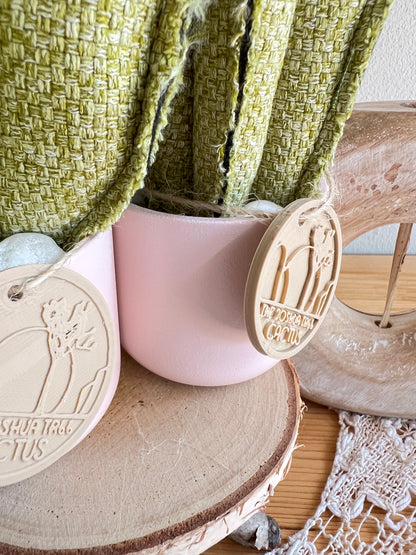 Coppia di mini Cactus in cotone verde chiaro, vaso in ceramica rosa pallido -  h circa 18 e 22  cm - fiore staccabile