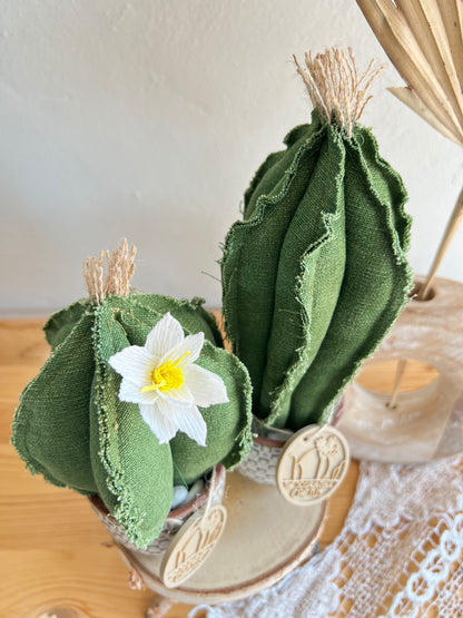 Coppia di mini Cactus in cotone verde scuro, vaso in ceramica bianca a motivi quadrettati -  h circa 18 e 22  cm - fiore staccabile.