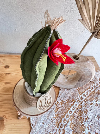 Mini Cactus in alcantara verde scuro, vaso in ceramica beige a motivi quadrettati -  h circa 22  cm - fiore staccabile.
