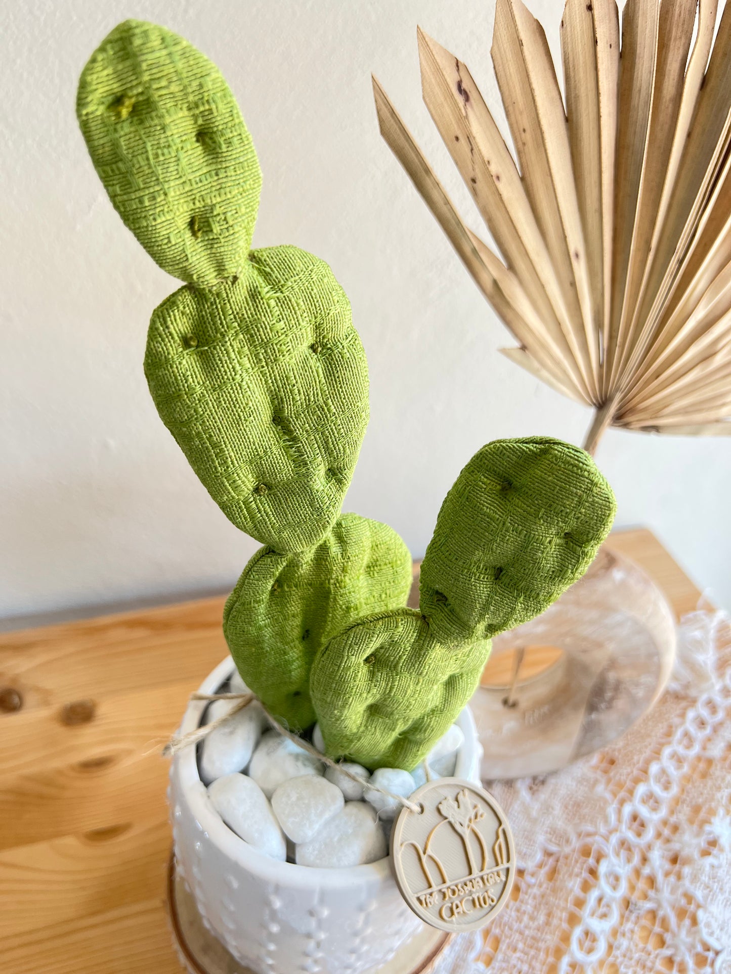 Opuntia in wool fabric complete with white ceramic vase and decorative stones.