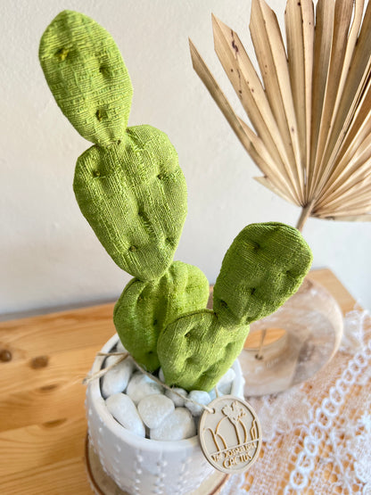 Opuntia in wool fabric complete with white ceramic vase and decorative stones.