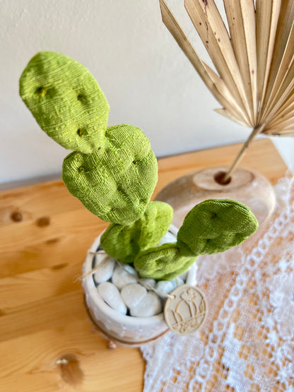 Opuntia in wool fabric complete with white ceramic vase and decorative stones.