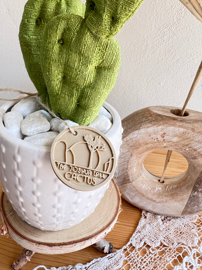Opuntia in wool fabric complete with white ceramic vase and decorative stones.