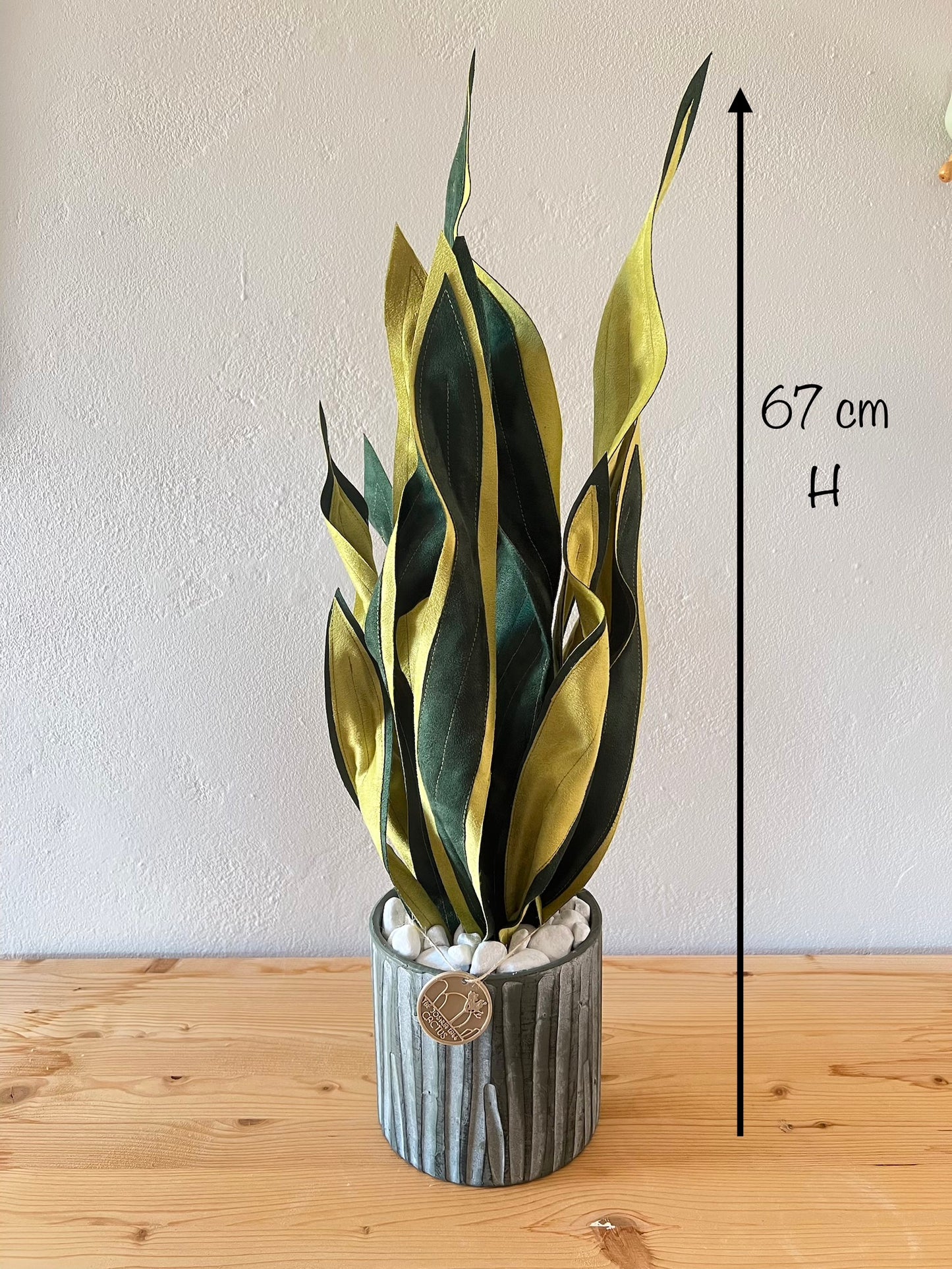 Sanseveria Over - 67 cm H