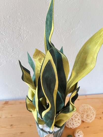 Sanseveria Over - 67 cm H