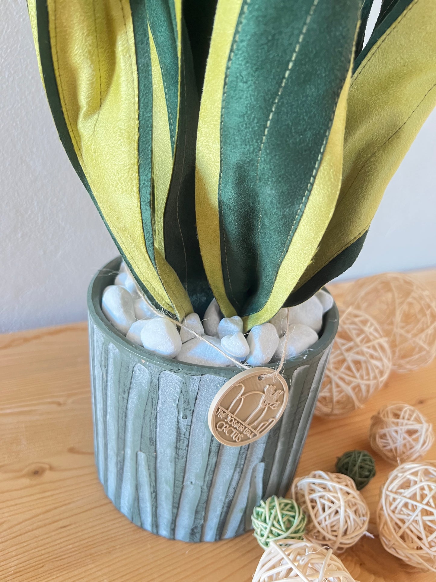 Sanseveria Over - 67 cm H