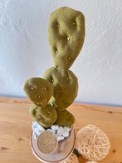 Opuntia in wool fabric complete with white ceramic vase and decorative stones.