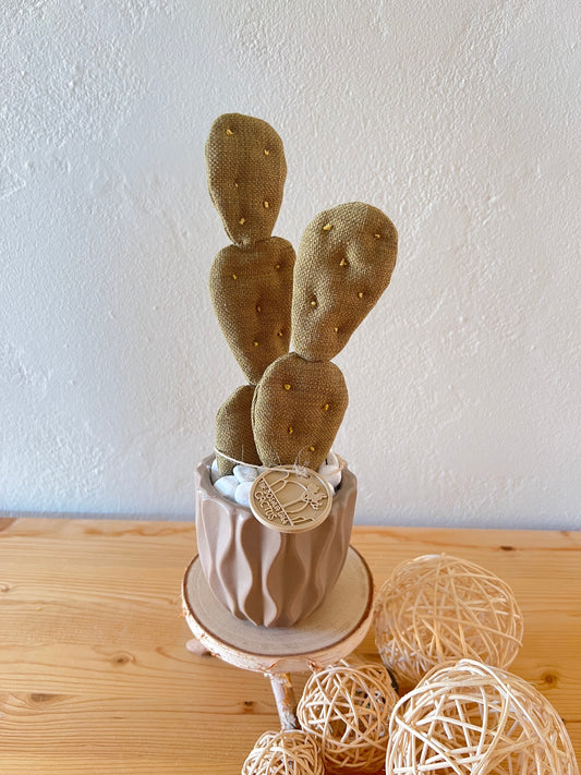 Mini Opuntia verde rustico  con vaso in ceramica opaca color tortora - in pronta consegna.
