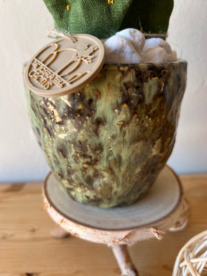 Opuntia Midi in cotone verde medio, vaso in ceramica lucida verde con motivi - in pronta consegna