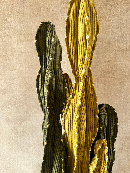 Composizione Cereus over